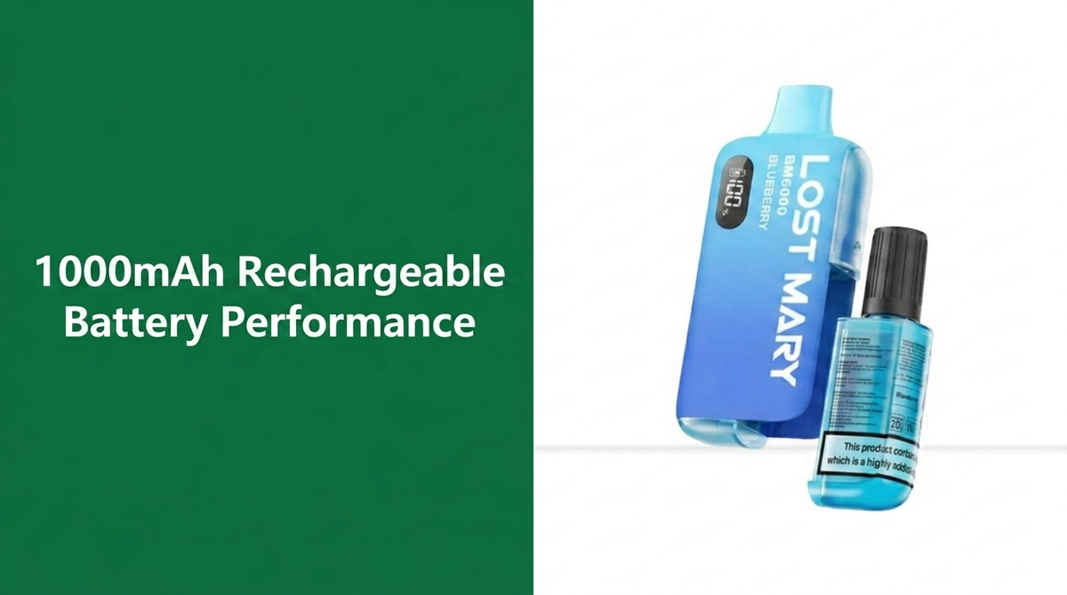 1000mAh Rechargeable Battery Performance 