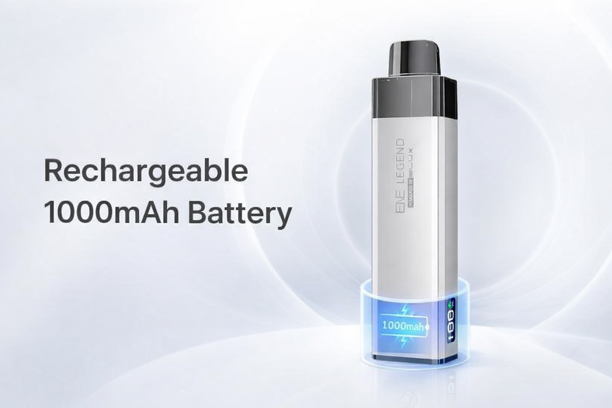 Rechargeable 1000mAh Battery