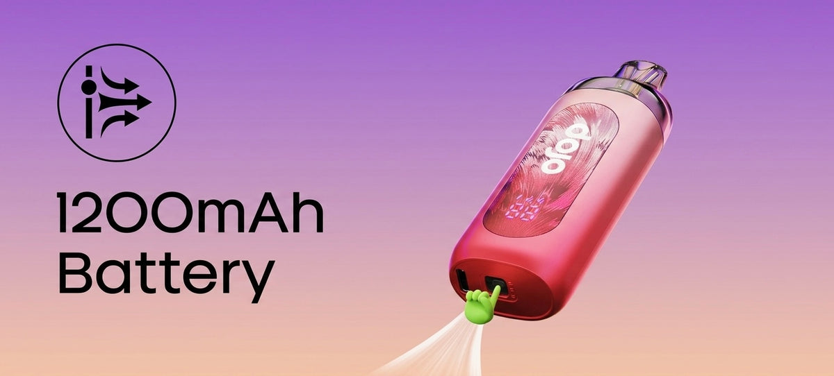 Rechargeable 1200mAh Battery