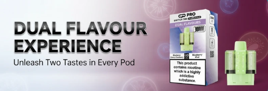 Dual Flavour  Experience