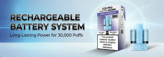 Rechargeable Battery