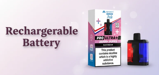 Rechargeable Battery