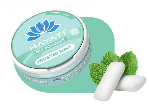 Shop Hayati Nicotine Pouches (Buy 1 Get 1 Free) - Hayati Nicotine Pouches (Buy 1 Get 1 Free) - Vape Blaze