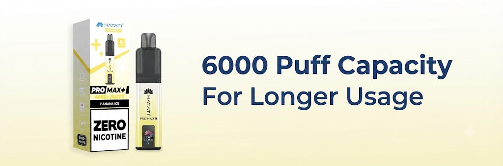 Up To 6000 Puffs Long-Lasting Performance