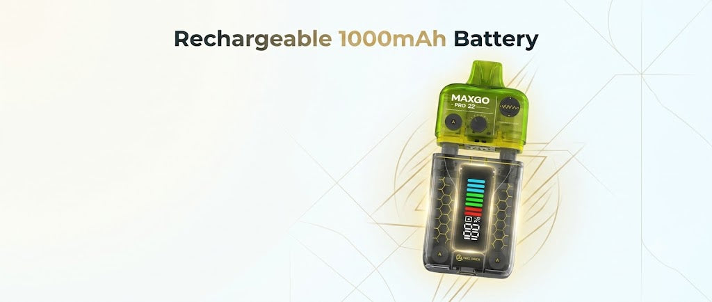 Rechargeable 1000mAh Battery